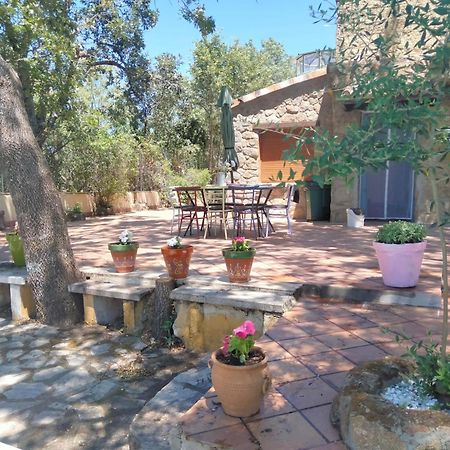 Casa Rural Vinas Perdidas Béjar Eksteriør billede
