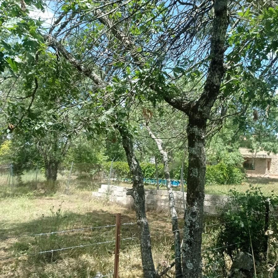 Casa Rural Vinas Perdidas Béjar Eksteriør billede