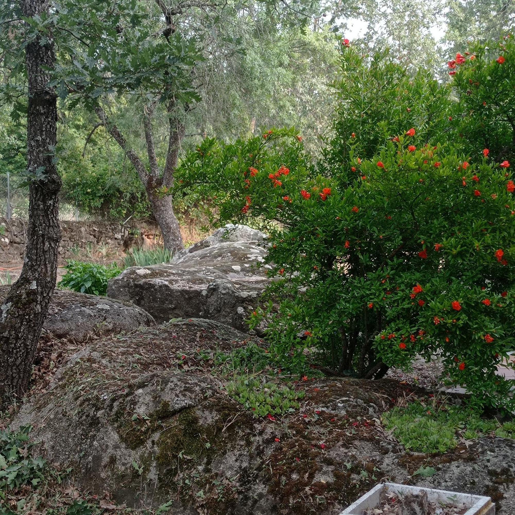 Casa Rural Vinas Perdidas Béjar Eksteriør billede