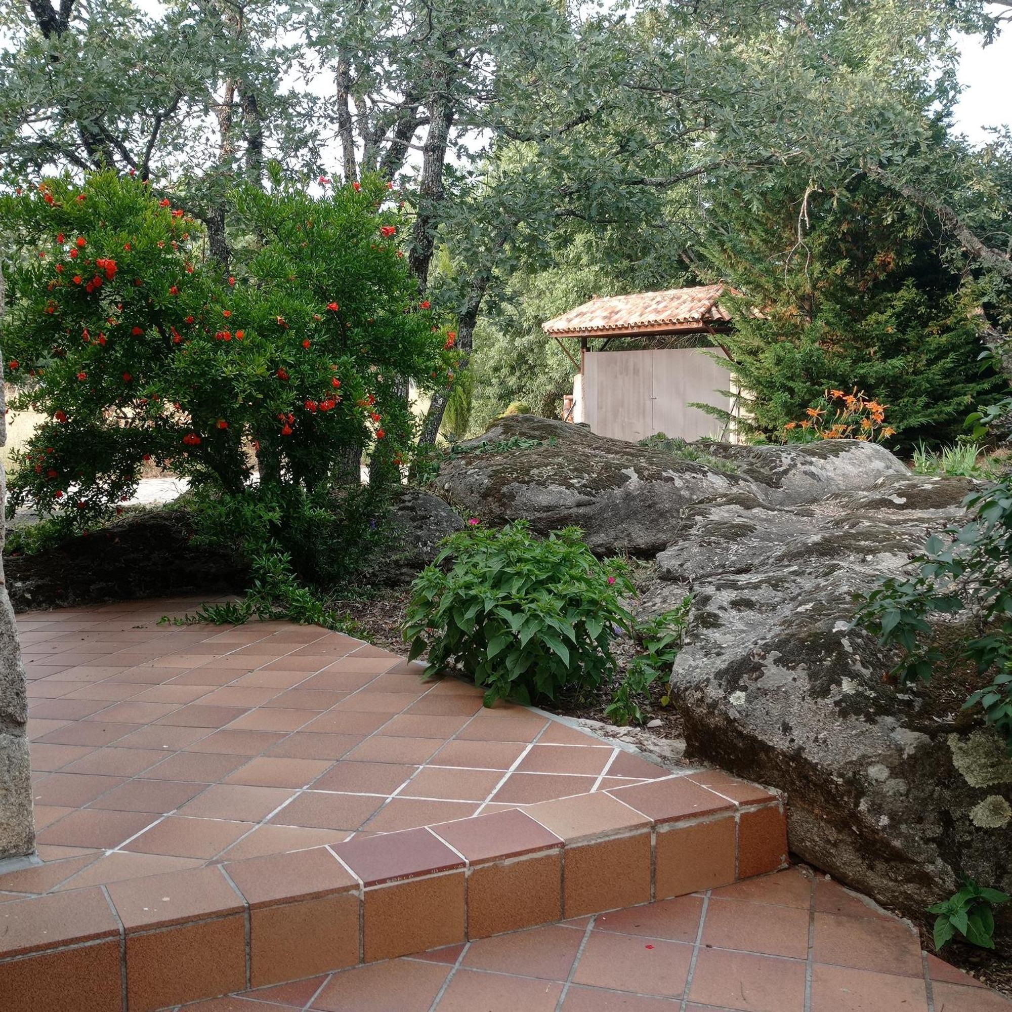 Casa Rural Vinas Perdidas Béjar Eksteriør billede
